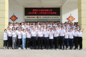 總結(jié)過(guò)去，計(jì)劃未來(lái)，協(xié)同創(chuàng)新，再創(chuàng)佳績(jī)！洛陽(yáng)正大舉行2023年上半年工作總結(jié)會(huì)議